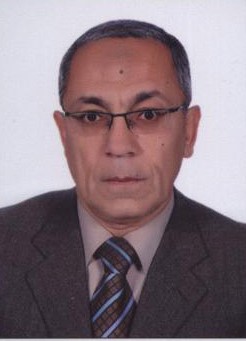 BAHER ABDEL KHALEK MAHMOUD EFFAT