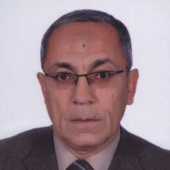 BAHER ABDEL KHALEK MAHMOUD EFFAT